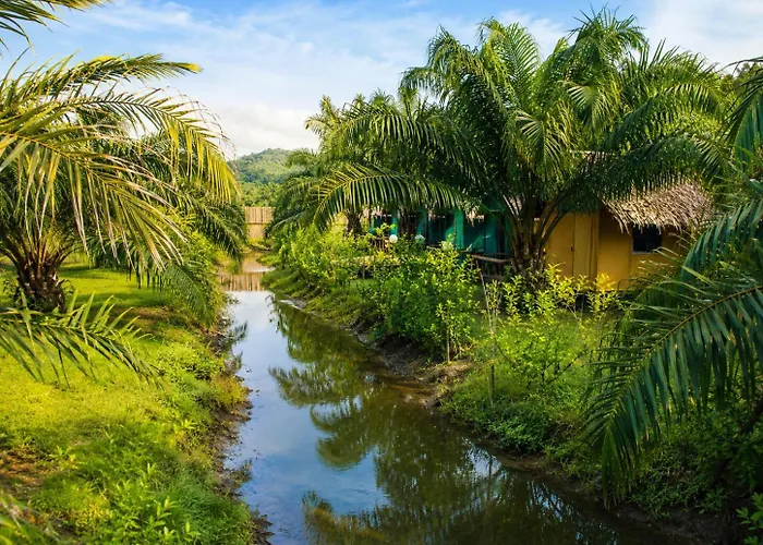 Yaoisland Resort And Farm